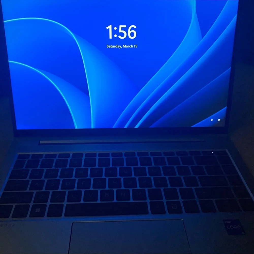 HP Gray Laptop